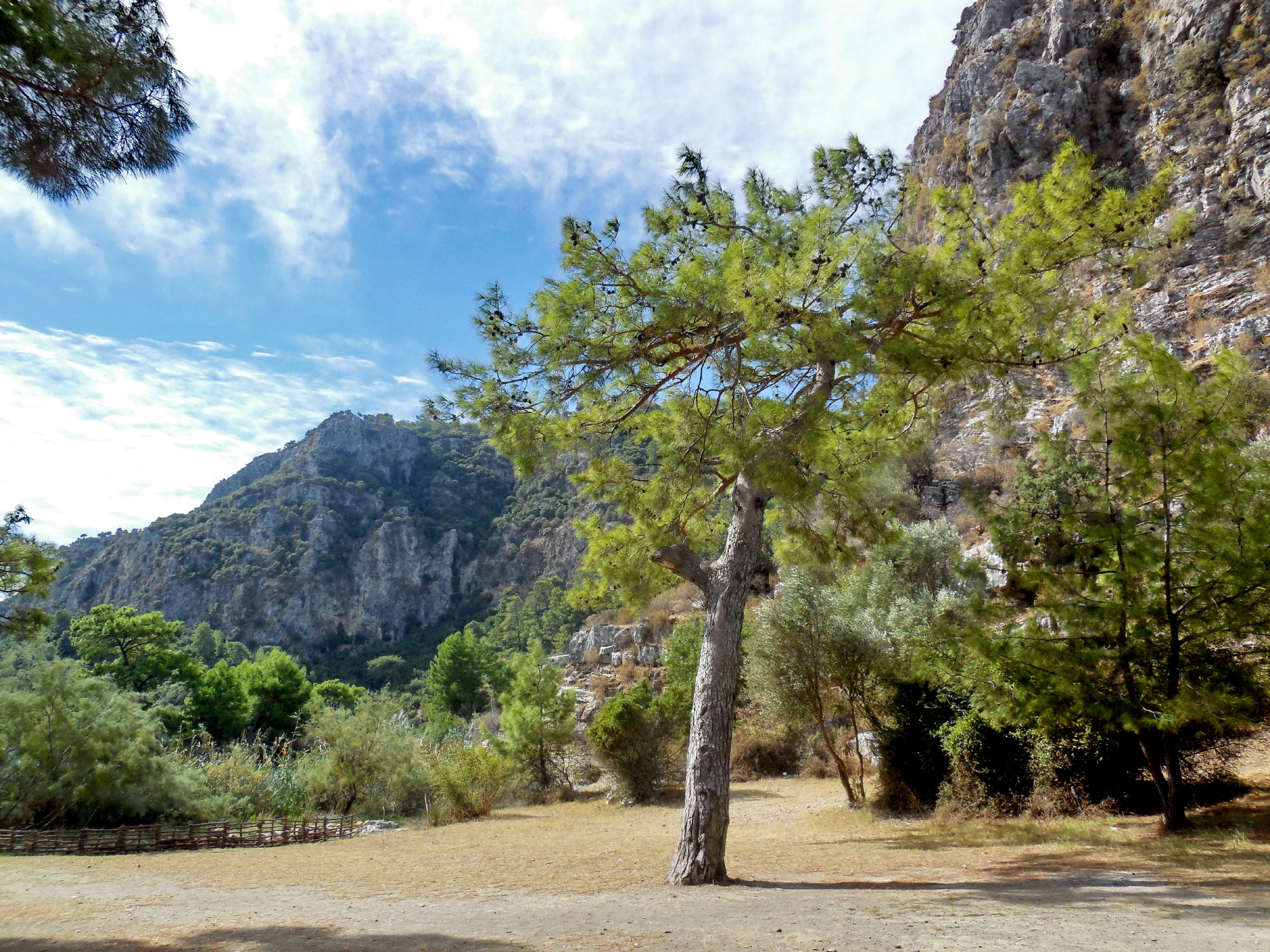Dalyan